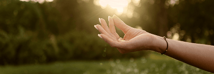 An open palm held out in soft garden light